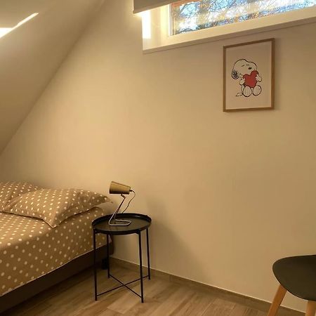 Appartement Dans Une Grange Renovee Strasbourg Kültér fotó